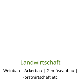 Landwirtschaft Weinbau | Ackerbau | Gemüseanbau | Forstwirtschaft etc.